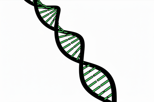 G-Seq Avian Metagenomics NGS Kit